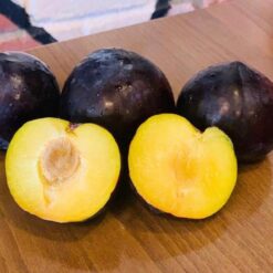 Рассада сливы диплоидной «Анджелино» "