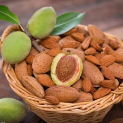 Саджанець мигдаля їстівного « Амаретто"